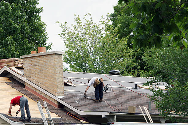 Best Sheet Metal Roofing  in Arlington Heights, IL