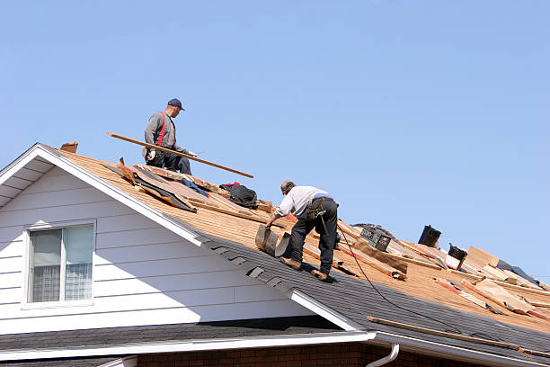 Best Asphalt Shingles Roofing  in Arlington Heights, IL