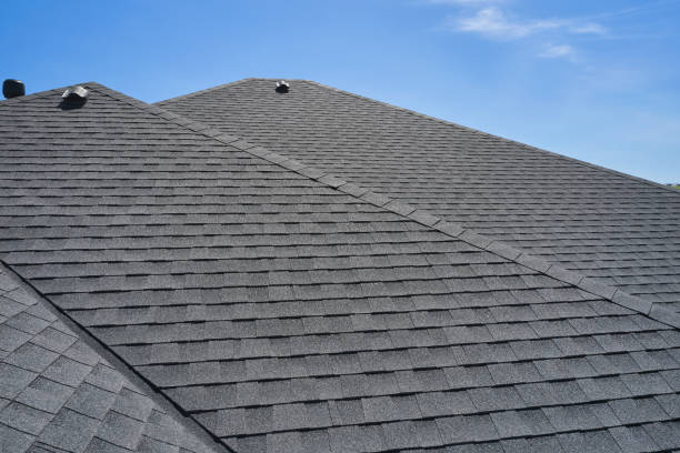 Best Rubber Roofing (EPDM, TPO)  in Arlington Heights, IL