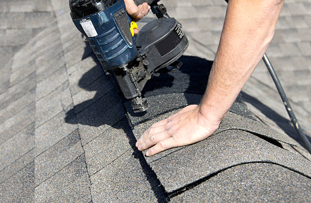 Best Roof Maintenance and Cleaning  in Arlington Heights, IL